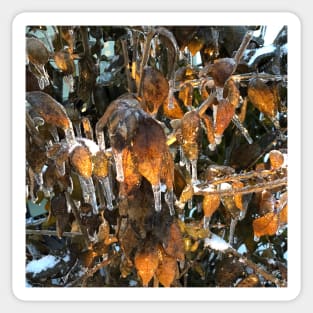 Icicle Leaves Sticker